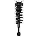 Complete Strut Assembly: Includes Strut, Coil Spring and Mount