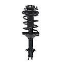 Complete Strut Assembly: Includes Strut, Coil Spring and Mount