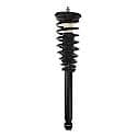 Complete Strut Assembly: Includes Strut, Coil Spring and Mount