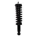 Complete Strut Assembly: Includes Strut, Coil Spring and Mount