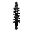 Complete Strut Assembly: Includes Strut, Coil Spring and Mount