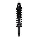 Complete Strut Assembly: Includes Strut, Coil Spring and Mount