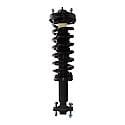 Complete Strut Assembly: Includes Strut, Coil Spring and Mount