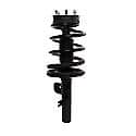 Complete Strut Assembly: Includes Strut, Coil Spring and Mount