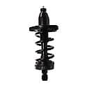 Complete Strut Assembly: Includes Strut, Coil Spring and Mount