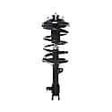 Complete Strut Assembly 18-818290: Includes Strut, Coil Spring and Mount