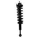 Complete Strut Assembly: Includes Strut, Coil Spring and Mount