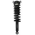 Complete Strut Assembly: Includes Strut, Coil Spring and Mount