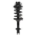 Complete Strut Assembly: Includes Strut, Coil Spring and Mount