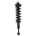 Complete Strut Assembly: Includes Strut, Coil Spring and Mount