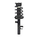 Complete Strut Assembly: Includes Strut, Coil Spring and Mount