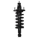 Complete Strut Assembly: Includes Strut, Coil Spring and Mount