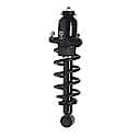 Complete Strut Assembly: Includes Strut, Coil Spring and Mount