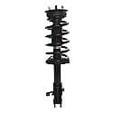 Complete Strut Assembly: Includes Strut, Coil Spring and Mount