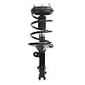 Complete Strut Assembly: Includes Strut, Coil Spring and Mount