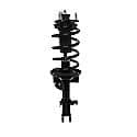 Complete Strut Assembly 18-818903: Includes Strut, Coil Spring and Mount