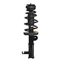 Complete Strut Assembly: Includes Strut, Coil Spring and Mount