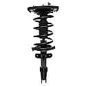 Complete Strut Assembly: Includes Strut, Coil Spring and Mount