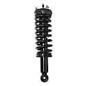 Complete Strut Assembly: Includes Strut, Coil Spring and Mount