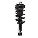 Complete Strut Assembly: Includes Strut, Coil Spring and Mount