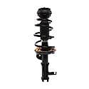 Complete Strut Assembly: Includes Strut, Coil Spring and Mount