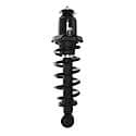 Complete Strut Assembly: Includes Strut, Coil Spring and Mount