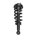 Complete Strut Assembly: Includes Strut, Coil Spring and Mount