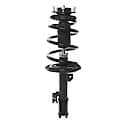 Complete Strut Assembly: Includes Strut, Coil Spring and Mount