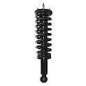 Complete Strut Assembly: Includes Strut, Coil Spring and Mount