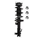 Complete Strut Assembly: Includes Strut, Coil Spring and Mount