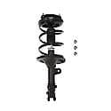 Complete Strut Assembly 18-818206: Includes Strut, Coil Spring and Mount