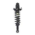 Complete Strut Assembly: Includes Strut, Coil Spring and Mount