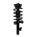 Complete Strut Assembly: Includes Strut, Coil Spring and Mount