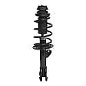 Complete Strut Assembly: Includes Strut, Coil Spring and Mount