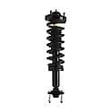 Complete Strut Assembly: Includes Strut, Coil Spring and Mount