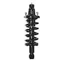 Complete Strut Assembly 28-710079: Includes Strut, Coil Spring and Mount