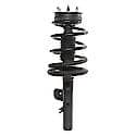 Complete Strut Assembly: Includes Strut, Coil Spring and Mount