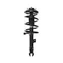 Complete Strut Assembly: Includes Strut, Coil Spring and Mount