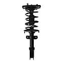 Complete Strut Assembly: Includes Strut, Coil Spring and Mount