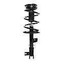 Complete Strut Assembly: Includes Strut, Coil Spring and Mount