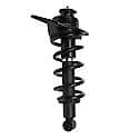 Complete Strut Assembly: Includes Strut, Coil Spring and Mount