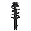 Complete Strut Assembly: Includes Strut, Coil Spring and Mount