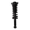 Complete Strut Assembly: Includes Strut, Coil Spring and Mount