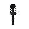 Complete Strut Assembly: Includes Strut, Coil Spring and Mount