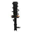 Complete Strut Assembly: Includes Strut, Coil Spring and Mount