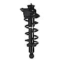 Complete Strut Assembly: Includes Strut, Coil Spring and Mount