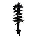 Complete Strut Assembly: Includes Strut, Coil Spring and Mount