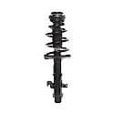 Complete Strut Assembly: Includes Strut, Coil Spring and Mount