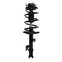 Complete Strut Assembly: Includes Strut, Coil Spring and Mount