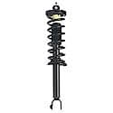 Complete Strut Assembly: Includes Strut, Coil Spring and Mount